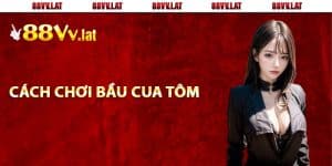 Hướng dẫn cơ bản cách chơi bầu cua tôm