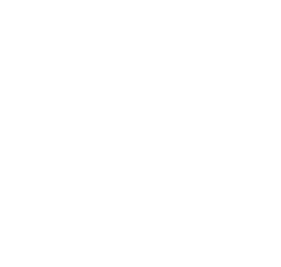 chuc nang thanh toan 88vv