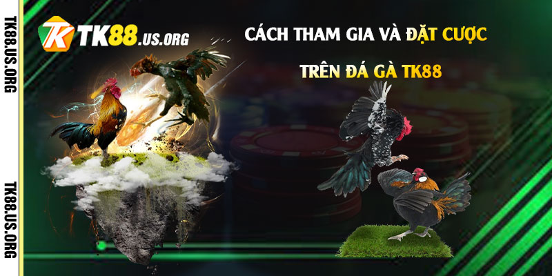 Cách-tham-gia-và-đặt-cược-trên-Đá-gà-Tk88
