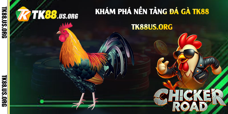 Cách tham gia và đặt cược trên Đá gà Tk88